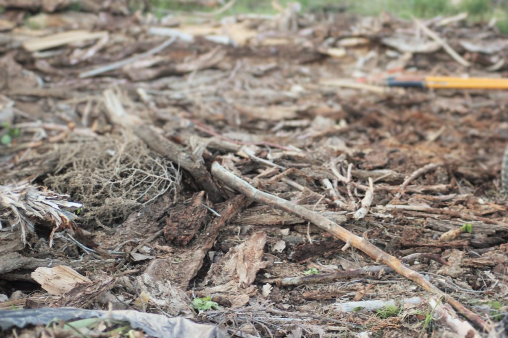 More stuff waiting to be converted to mulch.