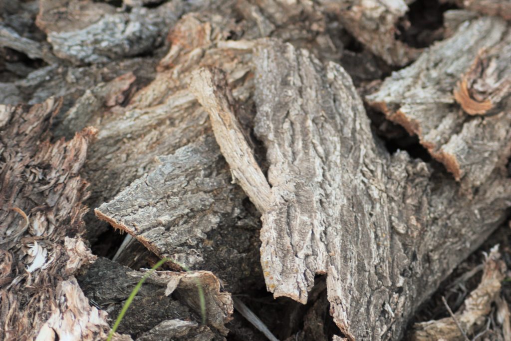 This bark was left over from some trees we had cut into firewood. We will also be converting it to mulch.