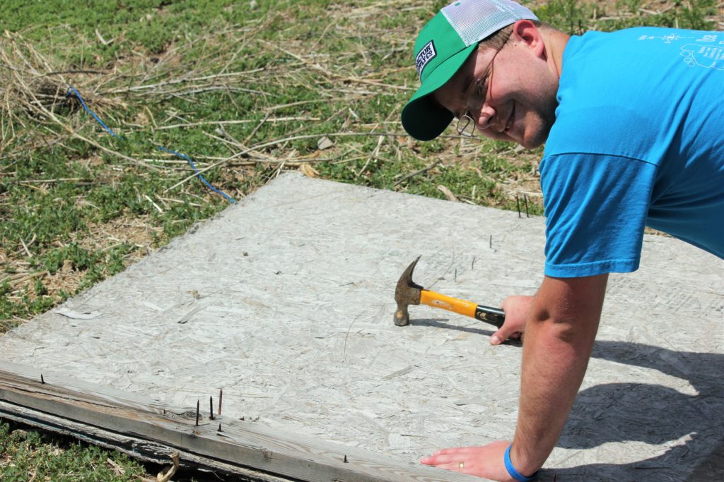 Chadd removing nails from the piece of plywood we used for the roof.